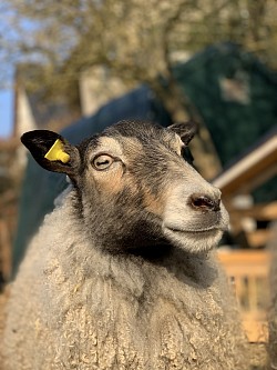 Bildhübsch unsere Charlotte